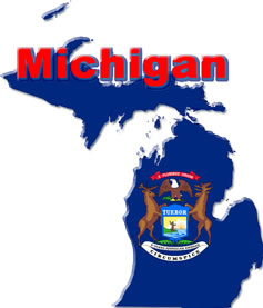 Michigan State Flag